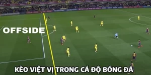 https://livescore.co.com/