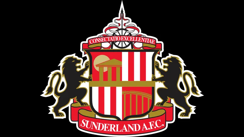 Cầu thủ Sunderland tập trung chuyền bóng trong trận đấu với Newcastle Cầu thủ Sunderland tập trung chuyền bóng trong trận đấu với Newcastle